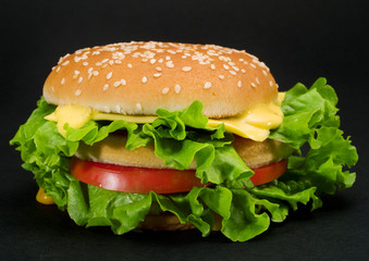 Hamburger