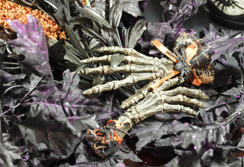 Halloween Party Time