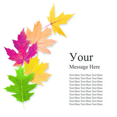 composition of autumn leaves