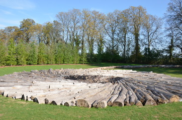 Tourbillon de bois