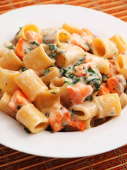 Pasta collection - rigatoni with salmon