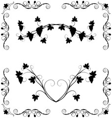 Illustration the grape twig ornate