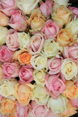 Pastel roses in a wedding arrangement