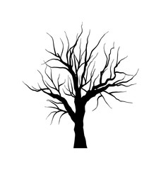 Sketch of dead tree without leaves , isolated on white backgroun