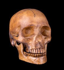 Obraz premium Skull Isolated on Black