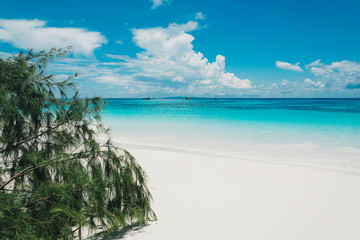 blue sky with beach sea and leaf - film filter