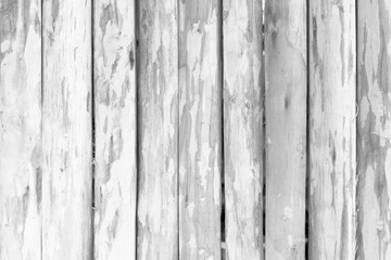 White wood background