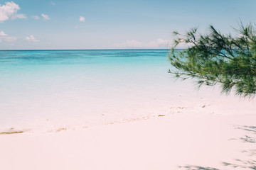 blue sky with beach sea and leaf - film filter