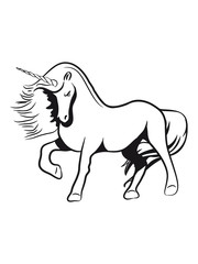 Einhorn tell fairy proud wind