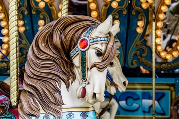 Horse closeup for Carousel ride