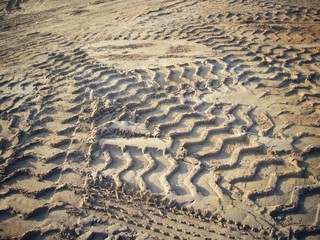 Wheel tracks on the soil.