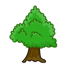 tree isolated illustration