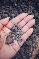 Soil on hand