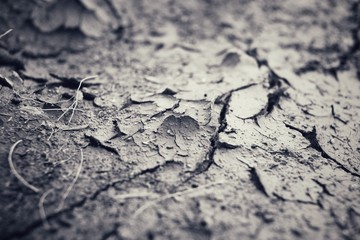 Cracked dry soil
