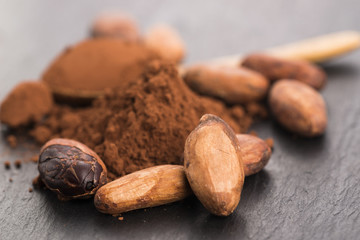 cacao beans and cacao powder in spoon