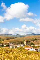 Fototapeta na wymiar village Salles-Arbuissonnas-en-Beaujolais with vineyard, Rhone-A
