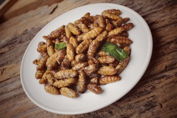 Silkworm pupae