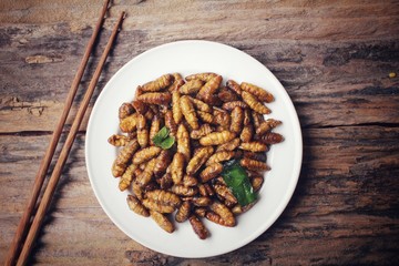 Silkworm pupae