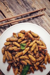 Silkworm pupae