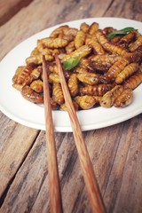 Silkworm pupae