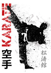 Obrazy na Plexi  prawe kopnięcie karate