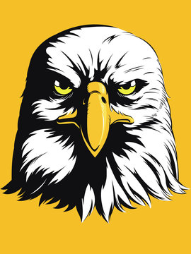 Eagle Head Vector - Front View Cartoon