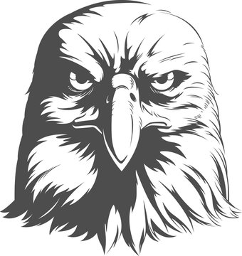 recommend clip art: Eagle Silhouettes Vector - Front View