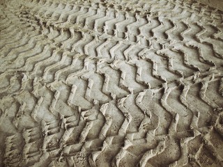 Wheel tracks on the soil.