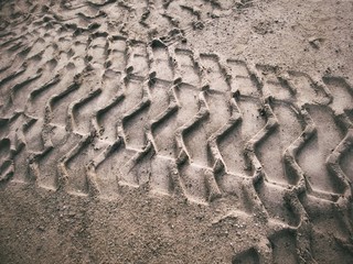 Wheel tracks on the soil.