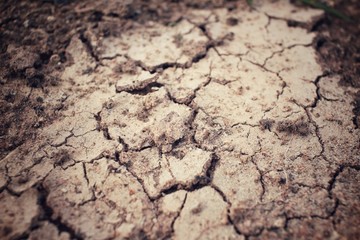 Cracked dry soil