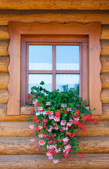 Wooden log window with geraniums flowers