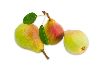 Three pear Bartlett on a light background