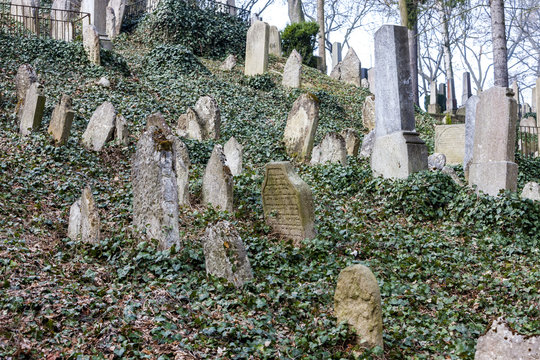 Jewish Cemetery, Trebic, Czech Republic