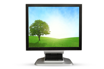 Fototapeta premium Computer Monitor grassland screen. Isolated on white background.