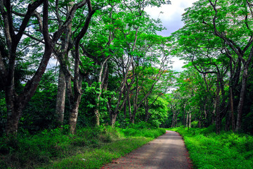  Cuc Phuong National Park in Ninh Binh, Vietnam 
