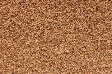 rice texture for background uses