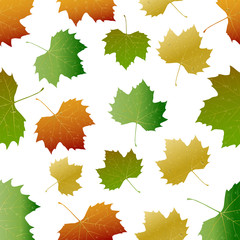 Autumn leaf pattern.Vector