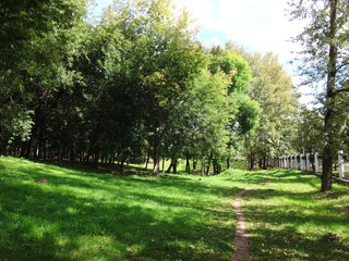 Obraz premium Городской парк с тропинкой, зелено-желтыми деревьями и опавшей листвой на зеленой траве