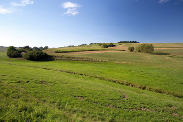 Obraz premium summer rural summer landscape