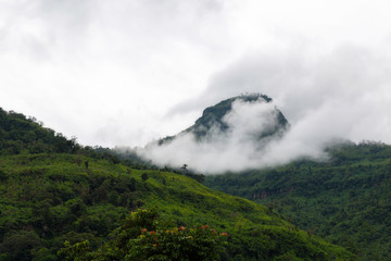 mountain with fog