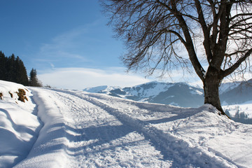 Winterweg, Alpen