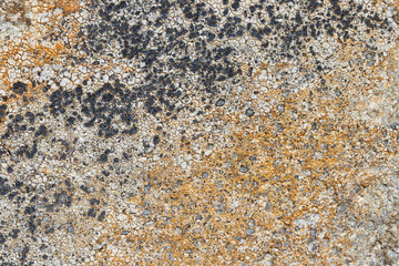 Close up old rock or stone texture