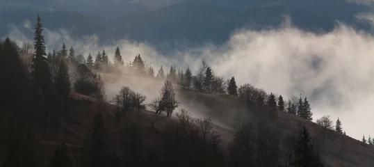 Foto auf Acrylglas Wald im Nebel Herbstlandschaft in den Karpaten nahe dem Dorf.