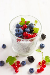 chia seeds pudding with  fresh berries