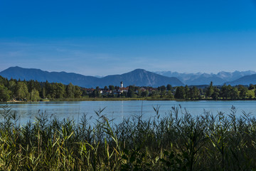 Fohnsee bei Iffeldorf im bayerischen Alpenvorland