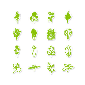 leafy vegetables