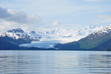 Fototapeta na wymiar Alaskan Glacier