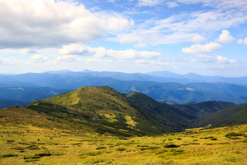 Sunny mountain landscape. Ukrainian Carpathians