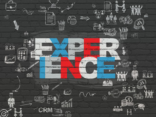 Business concept: Experience on wall background
