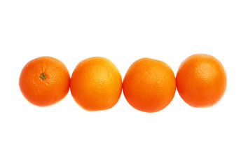Four oranges fruits composition isolated over the white